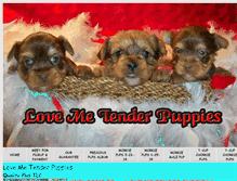 Tablet Screenshot of lovemetenderpuppies.com
